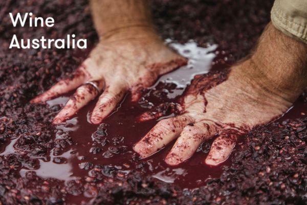 Photo for: Wine Australia's Laura Jewell on how independent merchants can get the most out of the country's vast wine offering